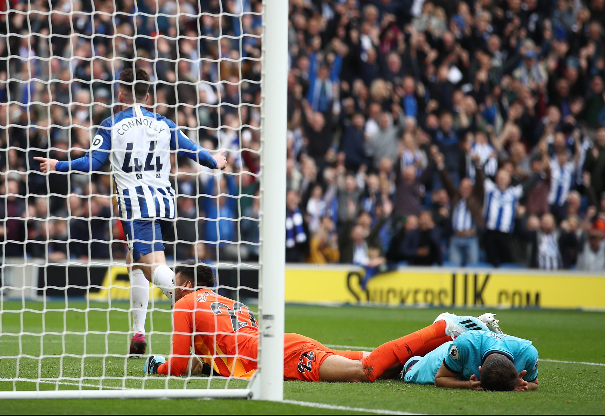 紅葉情報網 紅葉情報網